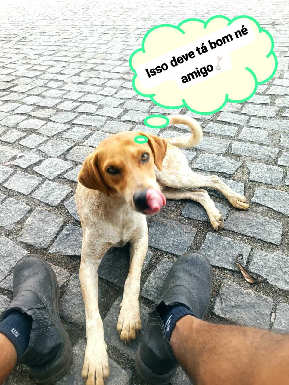 Foto do Usuário