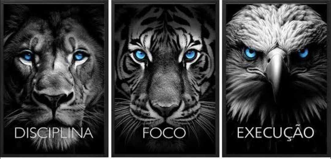 Foto do Usuário